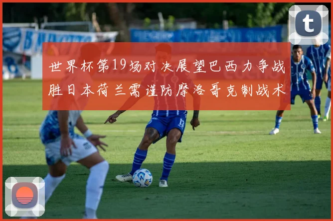 世界杯第19场对决展望巴西力争战胜日本荷兰需谨防摩洛哥克制战术