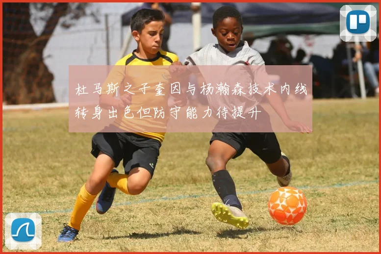杜马斯之子奎因与杨瀚森技术内线转身出色但防守能力待提升